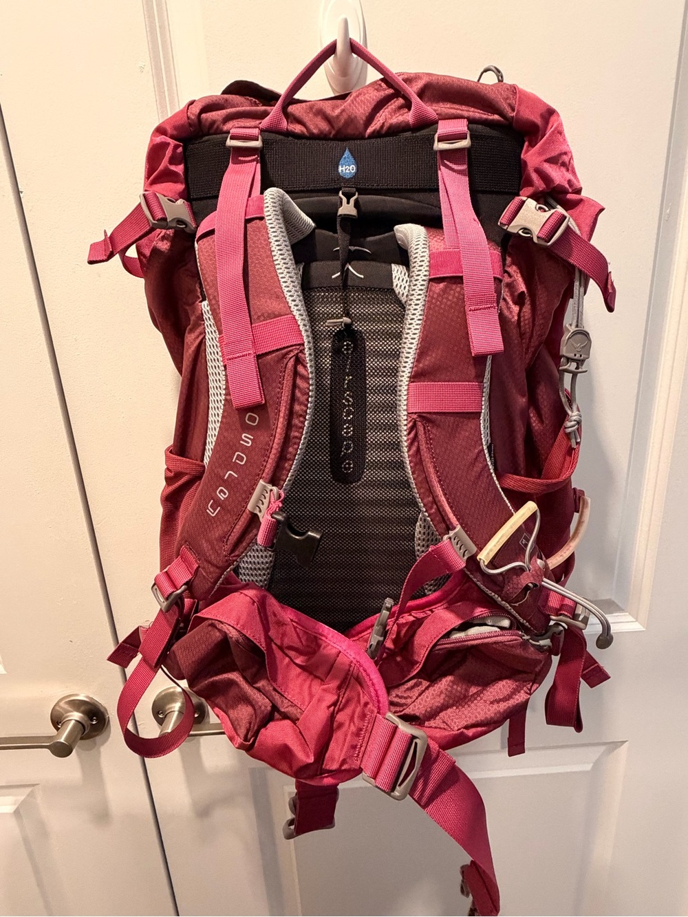 OSPREY Kyte 36 Pink Women's Backpack - Top-Load Hiking Pack - Picture 4 of 6